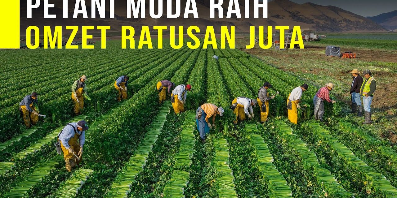 Sistem Mikro Kredit Mampu Membantu Kesehjatraan Para Petani