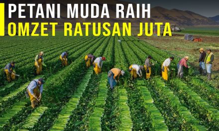 Sistem Mikro Kredit Mampu Membantu Kesehjatraan Para Petani