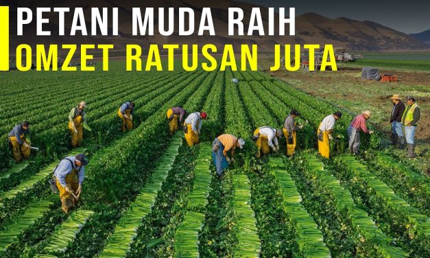 Sistem Mikro Kredit Mampu Membantu Kesehjatraan Para Petani