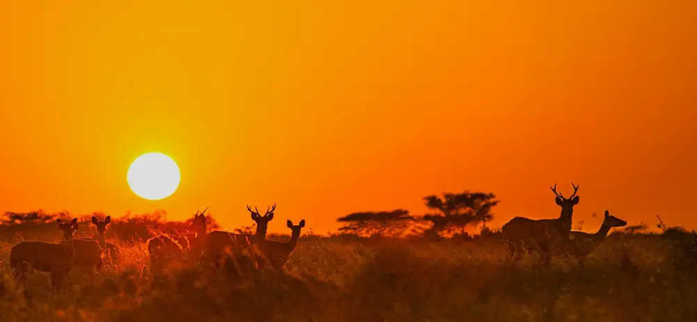 Taman Nasional Baluran