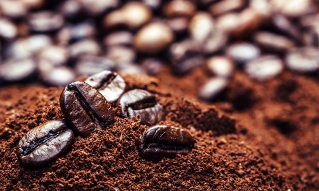 Mengupas Potensi Bisnis Kopi Specialty Di Indonesia, Yuk Simak