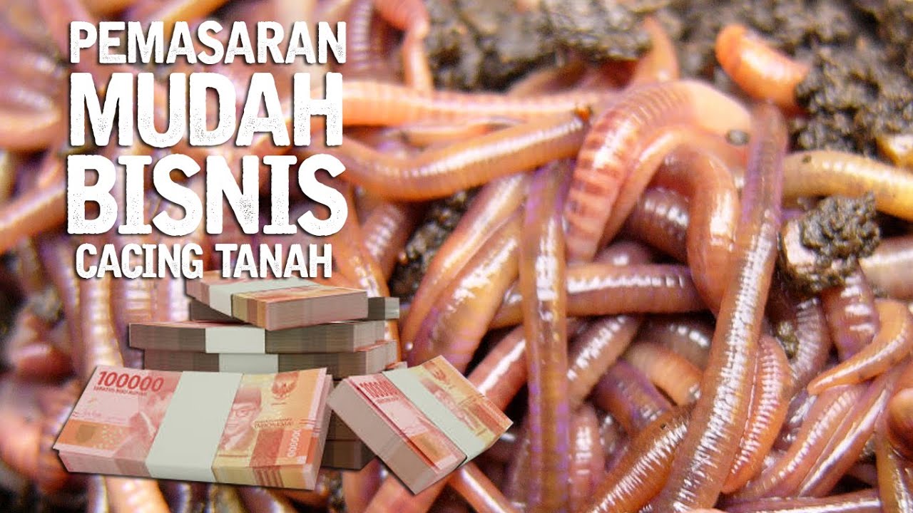 Ide Bisnis