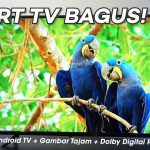 Keunggulan Smart TV: Menonton Lebih Pintar Di Era Digital