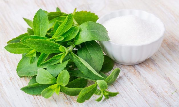 Bahan Alami Gula Sebagai Pemanis Dari Tumbuhan