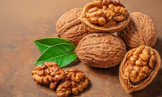 Manfaat Kacang Walnut, Menjaga Kesehatan Jantung Dan Otak